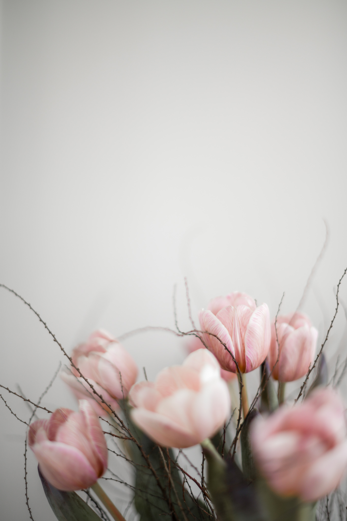 RSY_4816